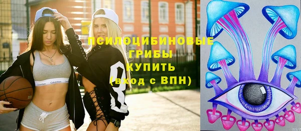 ALPHA PVP Усмань