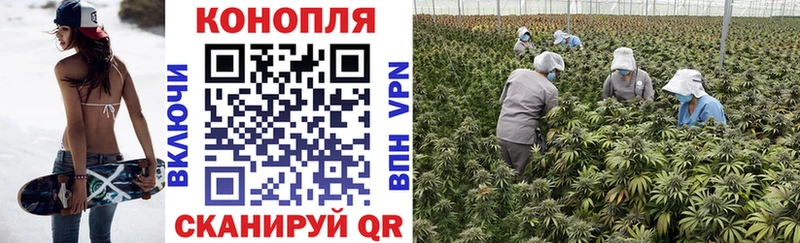 Каннабис Amnesia  Купить где  Биробиджан 